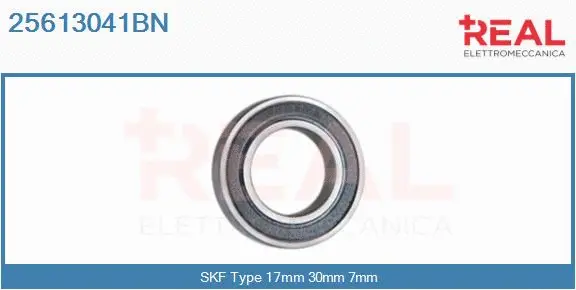 Bearing (25613041BN)