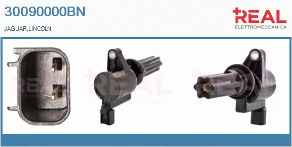 Ignition Coil (30090000BN)