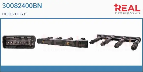Ignition Coil (30082400BN)