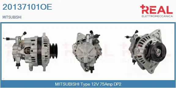 Alternator (20137101OE)