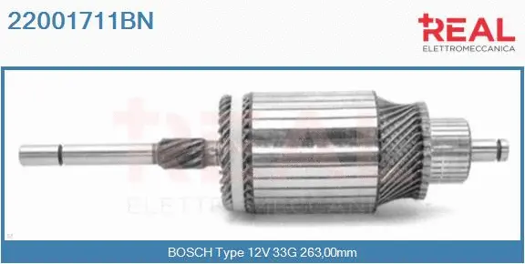 Armature, starter (22001711BN)