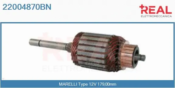 Armature, starter (22004870BN)