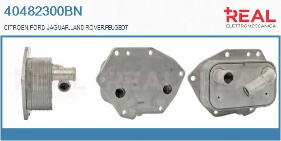Oil Cooler, engine oil (40482300BN)
