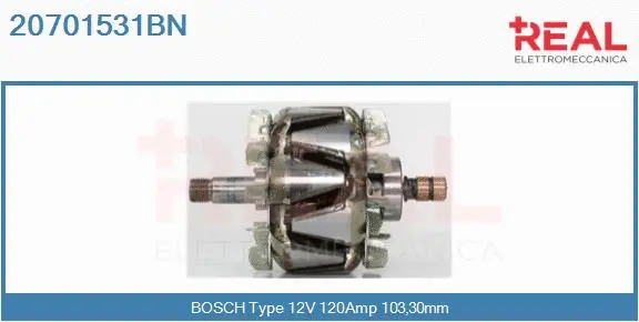 Rotor, alternator (20701531BN)