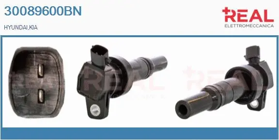 Ignition Coil (30089600BN)