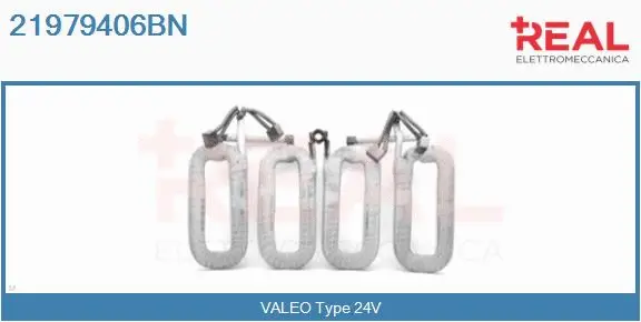 Field Winding, starter (21979406BN)