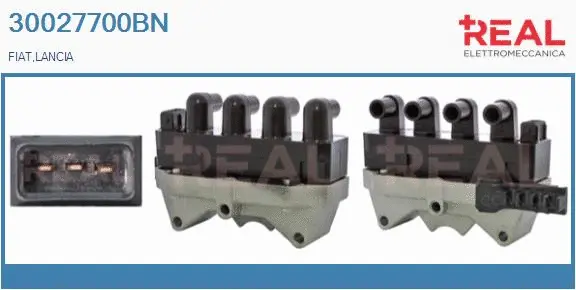 Ignition Coil (30027700BN)