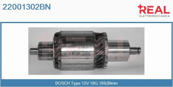 Armature, starter (22001302BN)