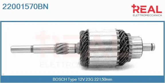 Armature, starter (22001570BN)