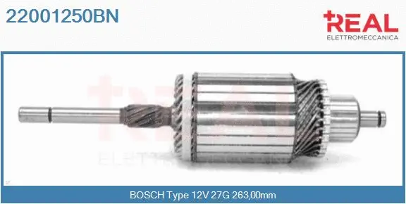 Armature, starter (22001250BN)