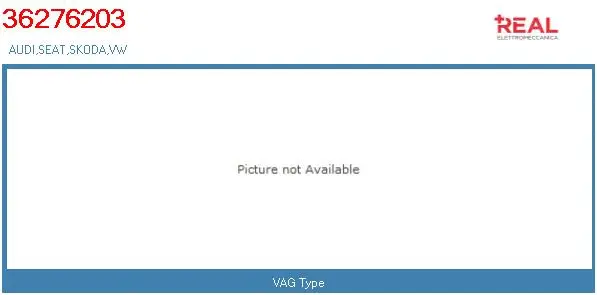 Steering Gear (36276203RC)