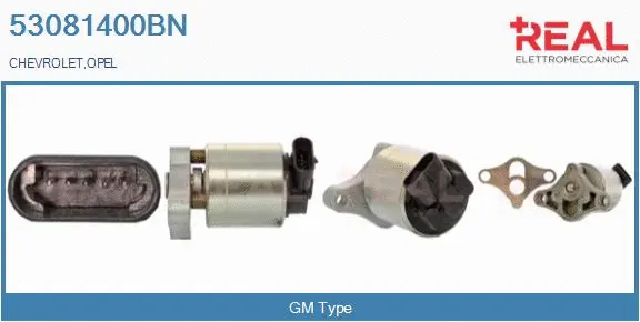 EGR Valve (53081400BN)