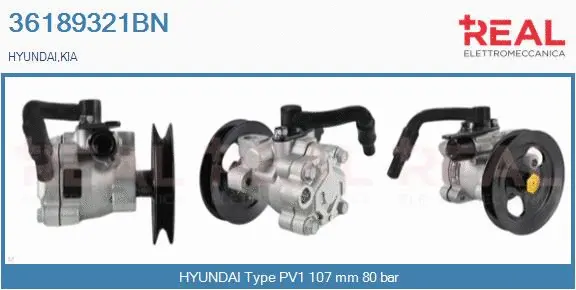 Hydraulic Pump, steering (36189321BN)