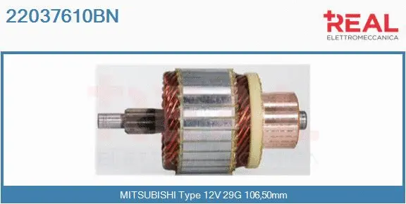 Armature, starter (22037610BN)