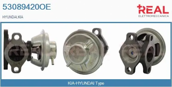EGR Valve (53089420OE)