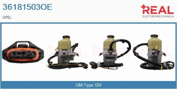 Hydraulic Pump, steering (36181503OE)