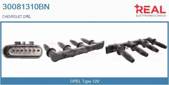 Ignition Coil (30081310BN)