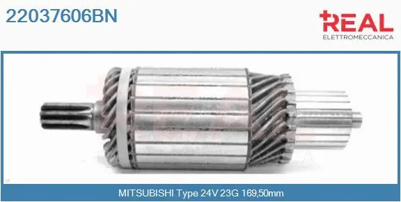 Armature, starter (22037606BN)