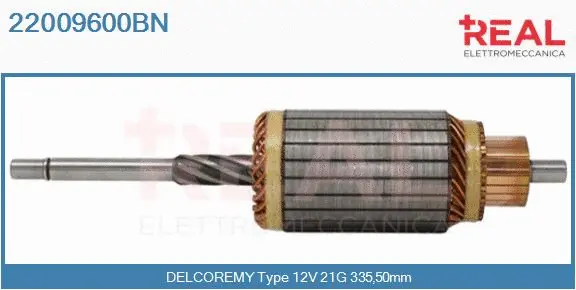 Armature, starter (22009600BN)