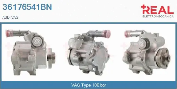 Hydraulic Pump, steering (36176541BN)