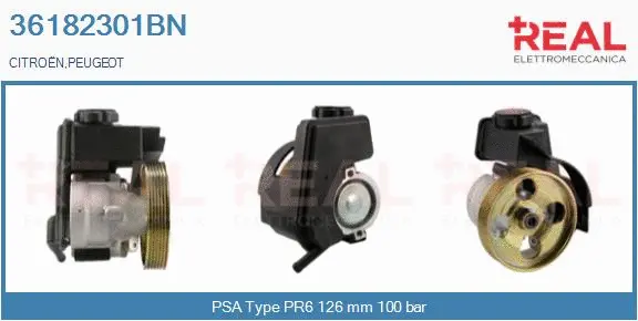 Hydraulic Pump, steering (36182301BN)