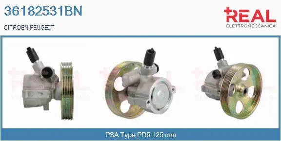 Hydraulic Pump, steering (36182531BN)