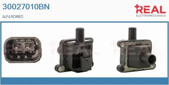 Ignition Coil (30027010BN)