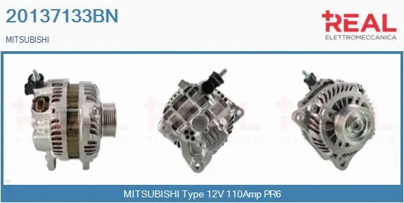 Alternator (20137133BN)