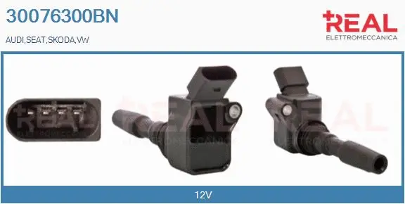 Ignition Coil (30076300BN)