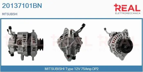 Alternator (20137101BN)