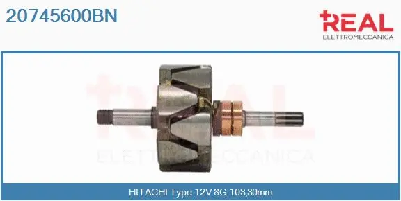 Rotor, alternator (20745600BN)