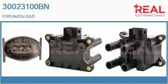 Ignition Coil (30023100BN)