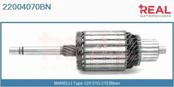 Armature, starter (22004070BN)