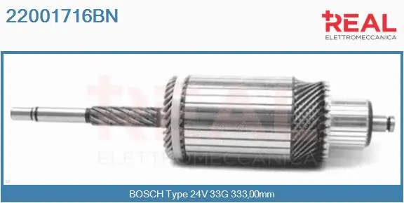 Armature, starter (22001716BN)