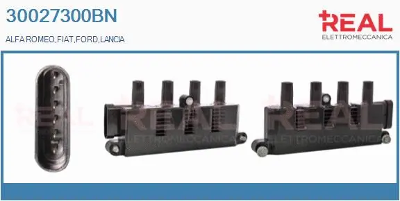 Ignition Coil (30027300BN)