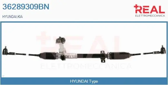 Steering Gear (36289309BN)