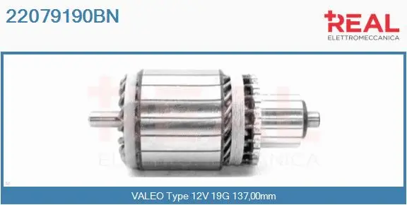 Armature, starter (22079190BN)