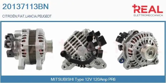 Alternator (20137113BN)