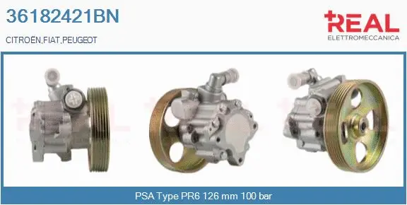 Hydraulic Pump, steering (36182421BN)