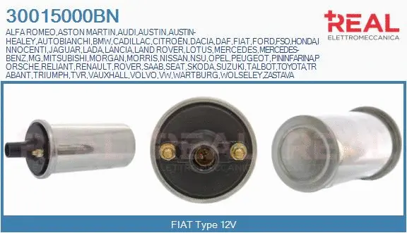 Ignition Coil (30015000BN)