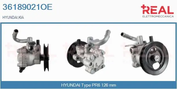 Hydraulic Pump, steering (36189021OE)