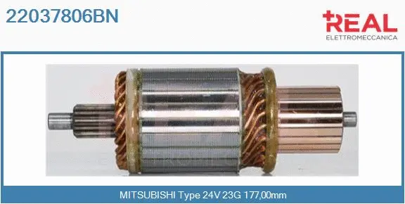 Armature, starter (22037806BN)