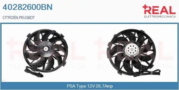 Electric Motor, radiator fan (40282600BN)