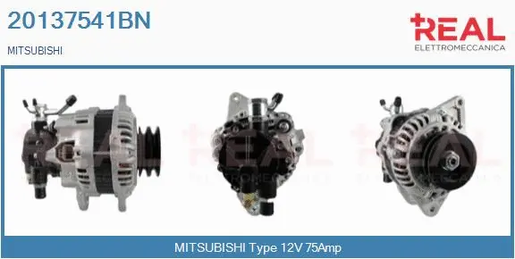 Alternator (20137541BN)