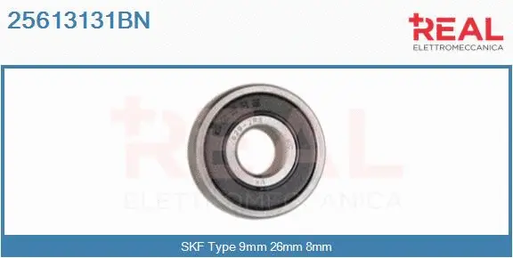 Bearing (25613131BN)