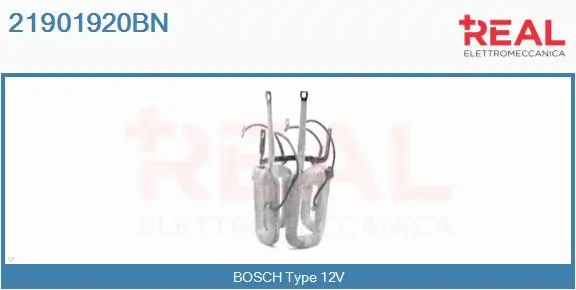 Field Winding, starter (21901920BN)