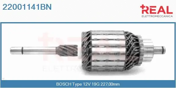 Armature, starter (22001141BN)