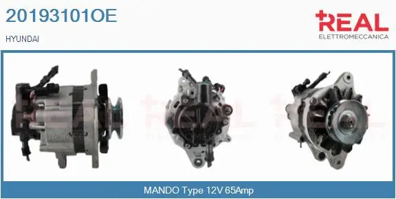 Alternator (20193101OE)