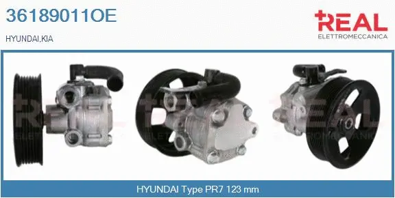 Hydraulic Pump, steering (36189011OE)