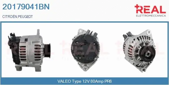 Alternator (20179041BN)